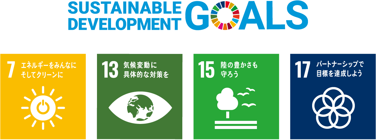 SUSTAINABLE DEVELOPMENT GOSLS  / SDGs